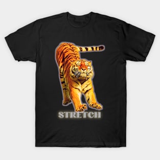 Large tiger doing a stretch exercise - silver text 1 T-Shirt